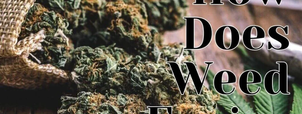 How Does Weed Expire?