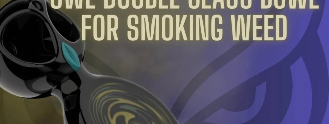Owl Double Glass Bowl Review Owl Double Glass Bowl Review