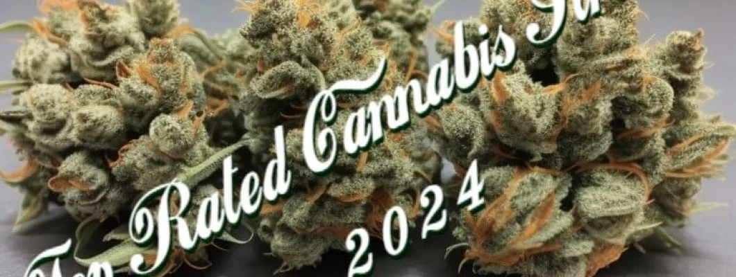 Top Rated Cannabis Strains 2024