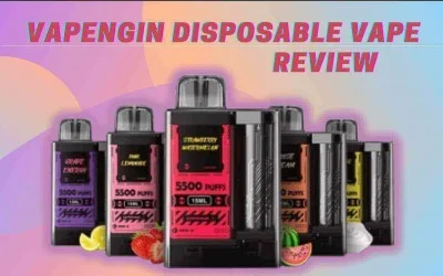 Vapengin Disposable Vape Review Vapengin Disposable Vape Review