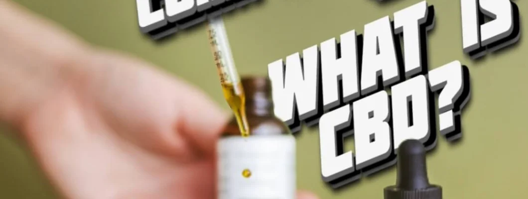 What is CBD? A Comprehensive Guide What is CBD? A Comprehensive Guide