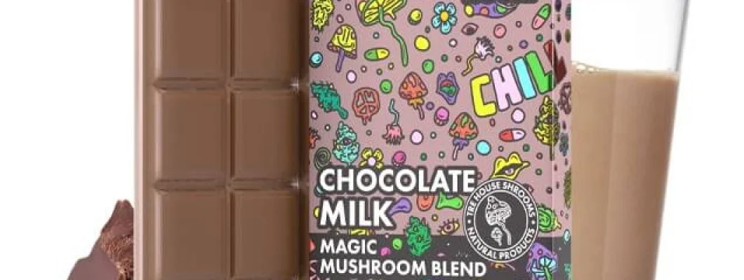 Reasons Why Mushroom Chocolates Are Perfect To Gift Reasons Why Mushroom Chocolates Are Perfect To Gift