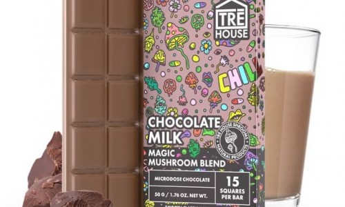 Reasons Why Mushroom Chocolates Are Perfect To Gift