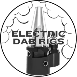 E-RIGS